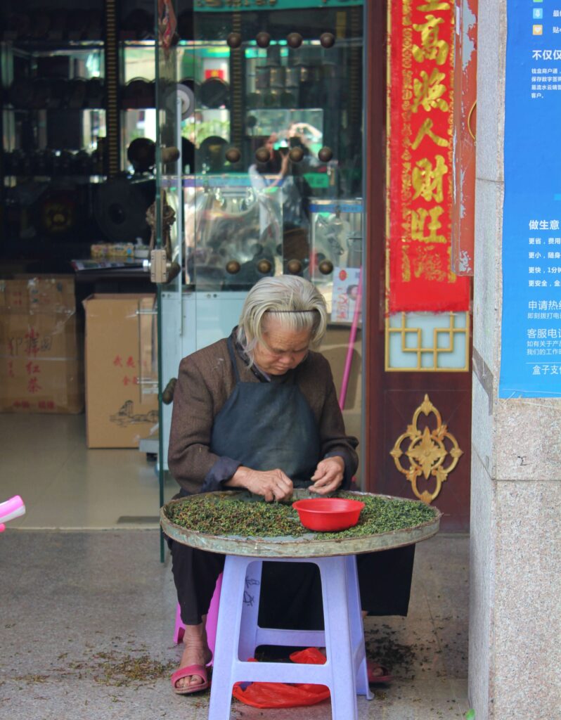 old woman sorting tea