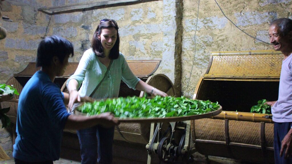people shaking tea on round bamboo mat
