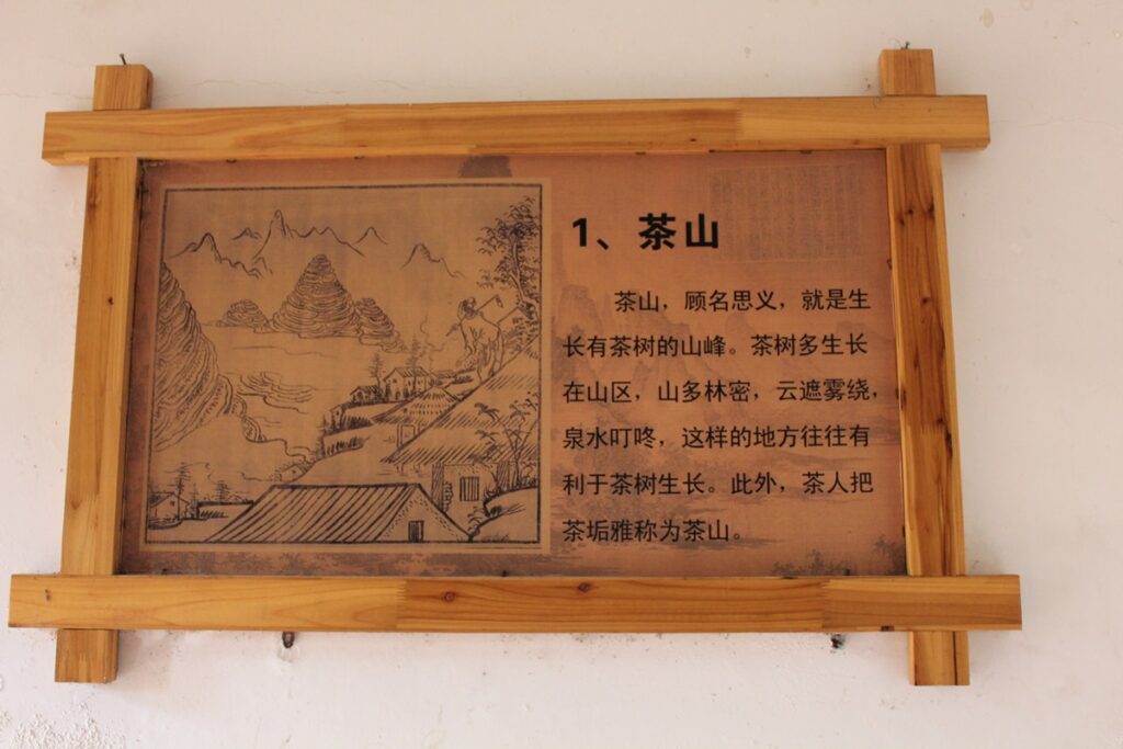 wooden sign with Chinese text describing tie guan yin tea production step 1