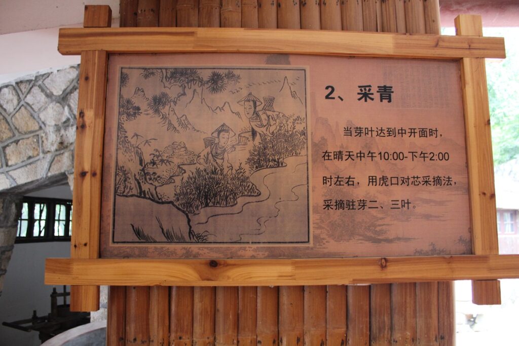 wooden sign with Chinese text describing tie guan yin tea production step 2