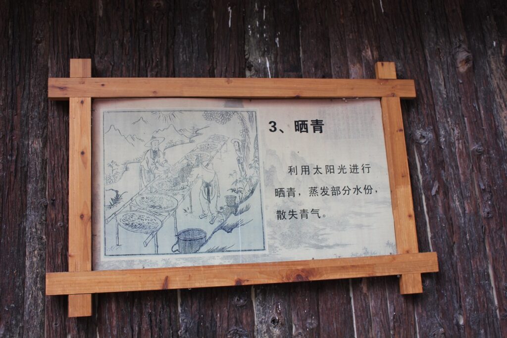 wooden sign with Chinese text describing tie guan yin tea production step 3