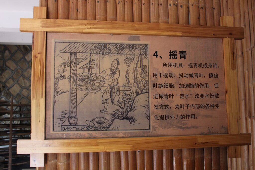 wooden sign with Chinese text describing tie guan yin tea production step 4