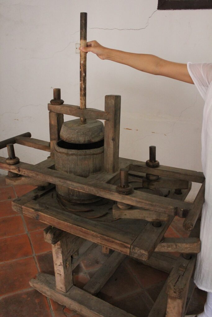 old tea equipment - rolling machine
