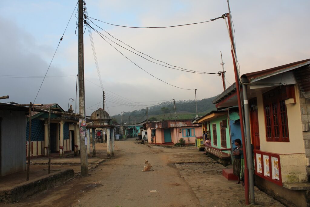 download (4) sri lankan tea village