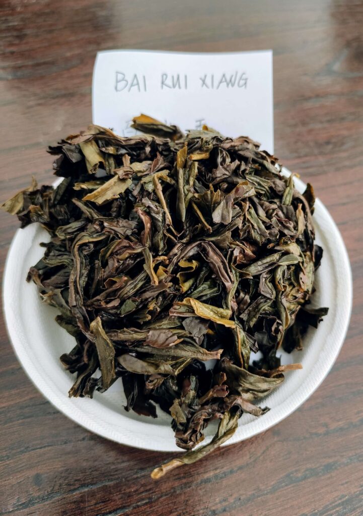 wet tea leaves on white plate