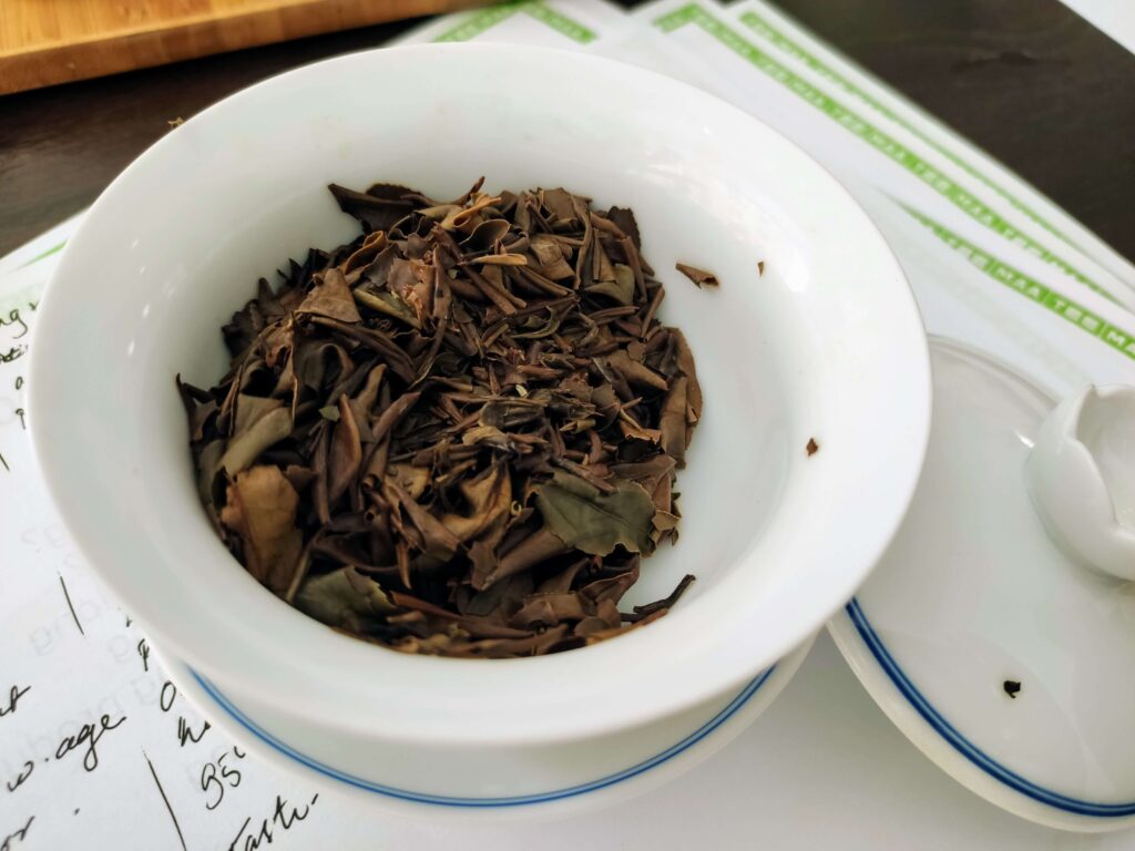 Oriental Beauty Wet wet tea leaves in gaiwan