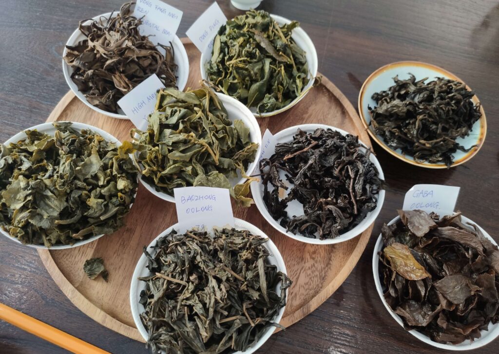 Taiwan Oolongs 8group Wet 8 sets of wet tea leaves, each on white plates