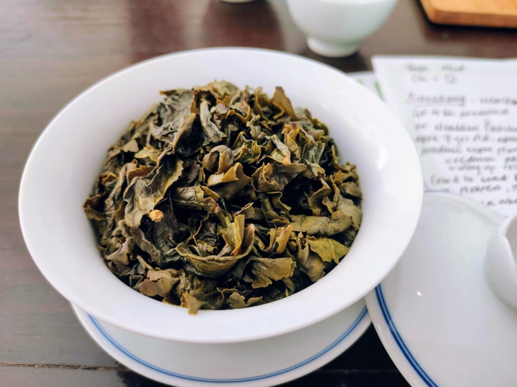 TieGuanYin Anxi Wet wet tea leaves in white gaiwan