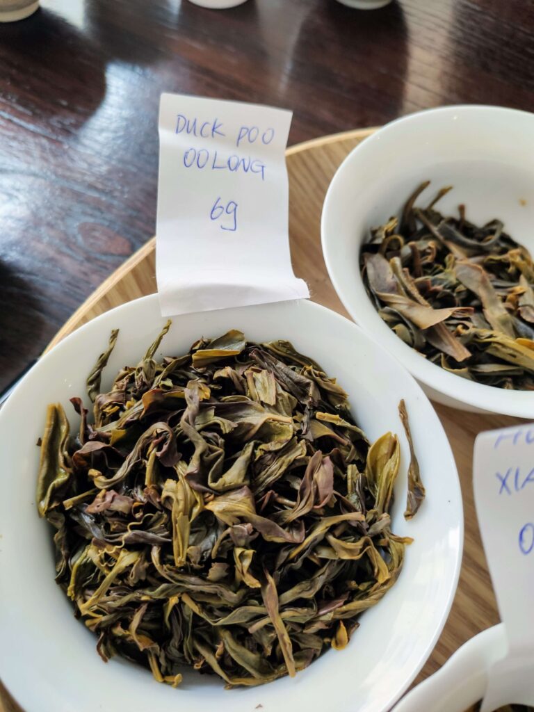 WetLeaf2_DuckShit wet tea leaves in gaiwan