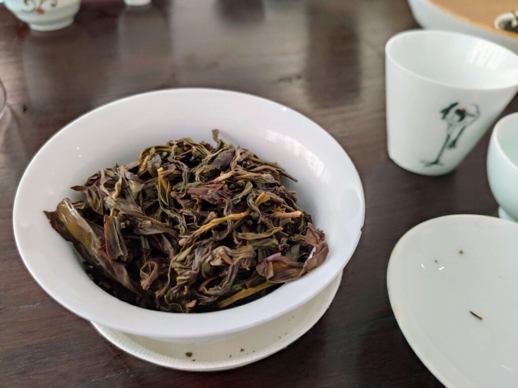 wet tea leaves in gaiwan