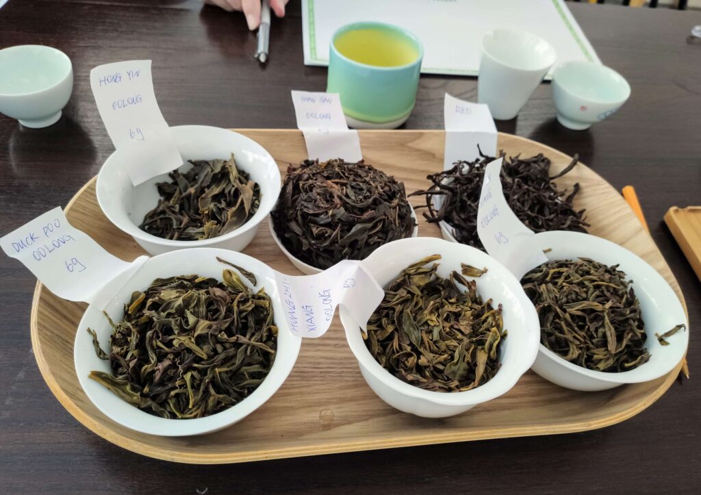 WetLeaf_PhoenixDanCong_Group2 a set of 6 wet tea leaves each in a white gaiwan on a wooden tray
