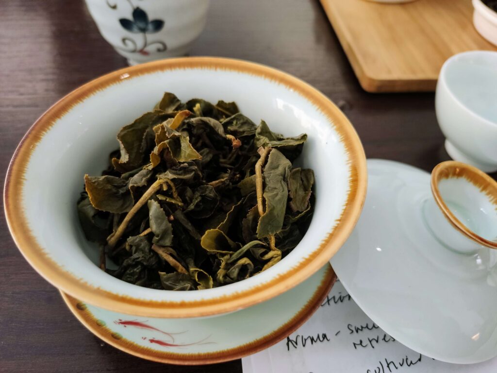 YuShan High Mountain Wet wet tea leaves in gaiwan