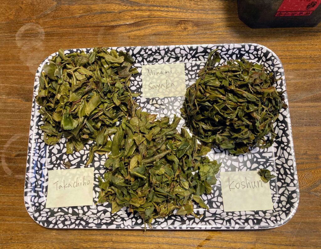 3 Japansese oolong wet leaves Japanese oolongs, wet leaves compared