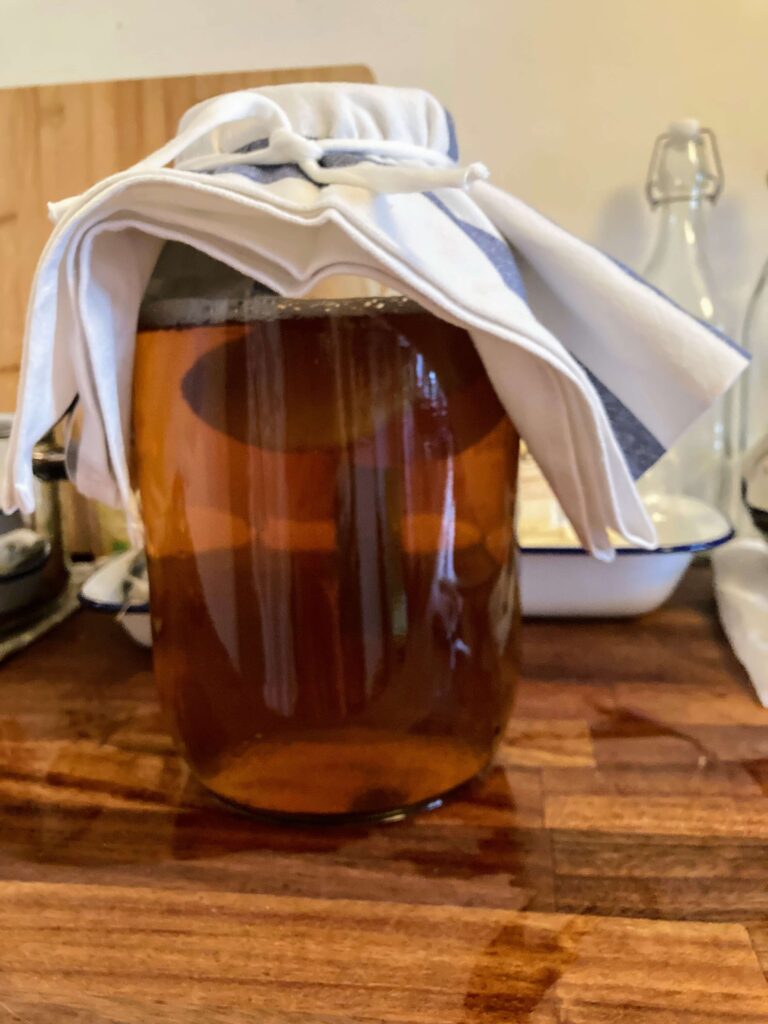 kombucha in jar with scoby