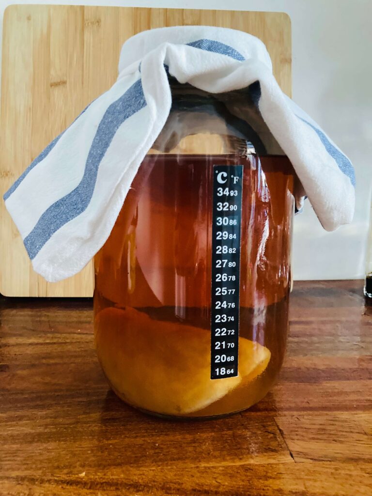 kombucha in jar with scoby