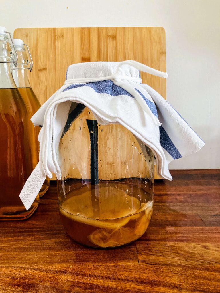 IMG_7517 kombucha scoby hotel - scoby in a jar