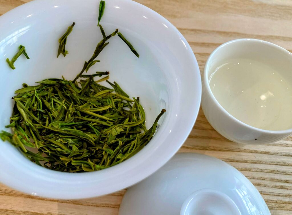 green wet tea leaves in gaiwan and tea liquor in white cup