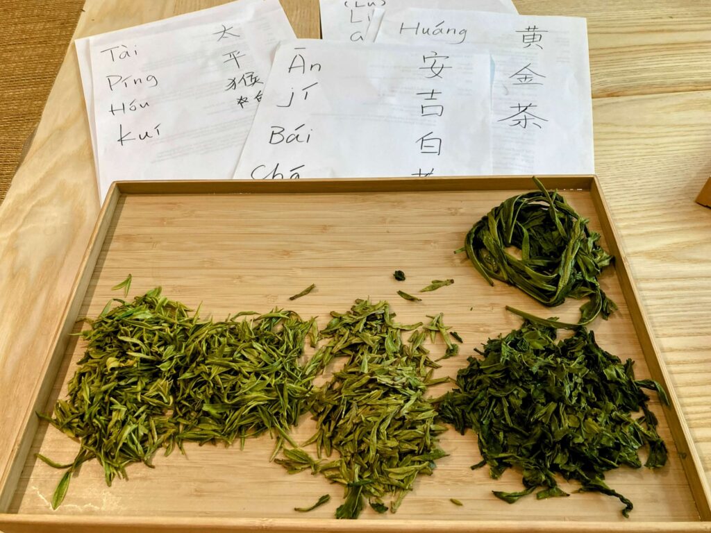 green-tea-wet-tea-leaves-display wet green tea leaves on a wooden tray