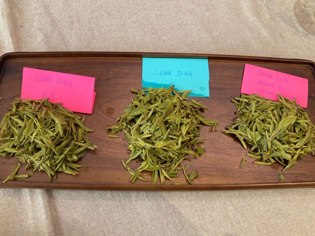 Three piles of iconic Longjing tea leaves are arranged on a wooden tray, each labeled with a colored note indicating tea cultivars and details. The tray rests on a beige fabric surface.