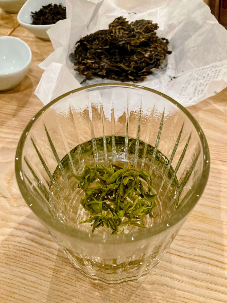 Green tea brewing in a glass